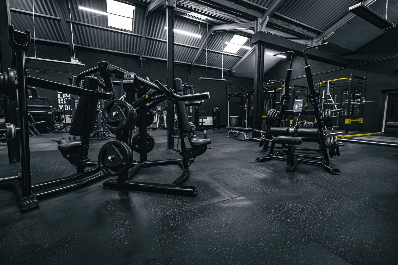Plate-loaded machines at HYVE